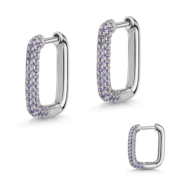 3896RHam earring 925/-