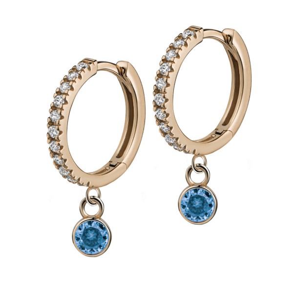 8625VRaq earring 925/-