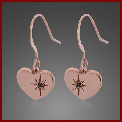 008438-221316--8438 Ohrhaken DIAMANT 925/- 