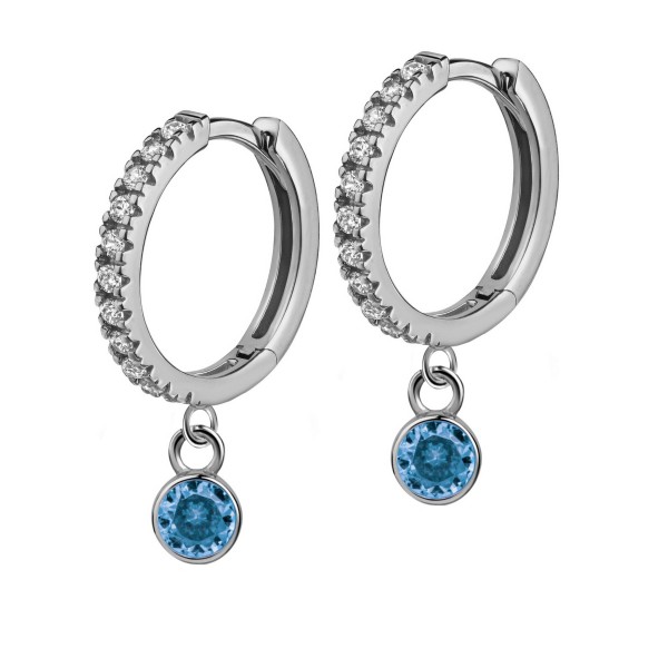 8625RHaq earring 925/-