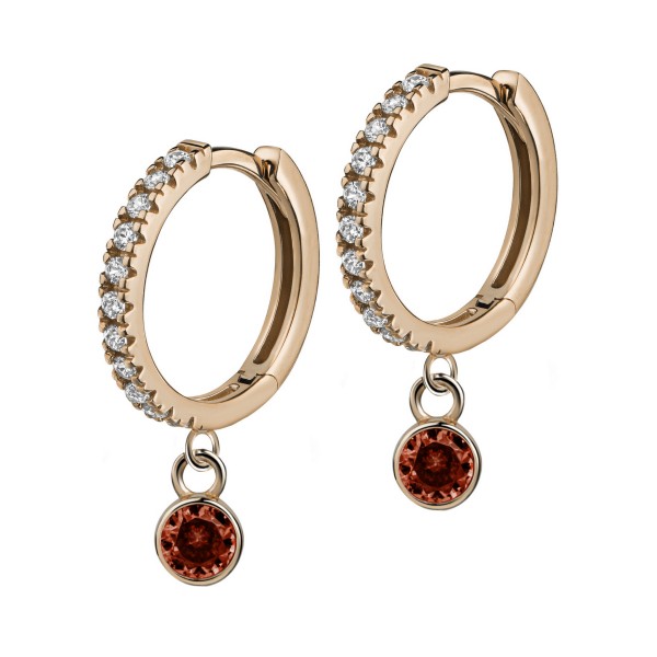 8625VRgr earring 925/-